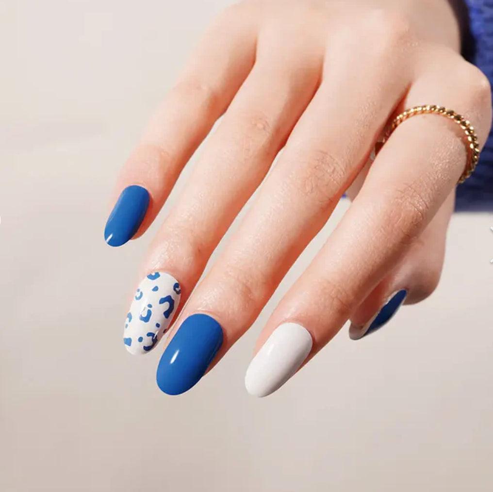Purrfectly Blue
